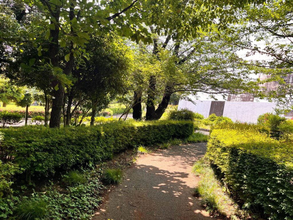 引地台公園の雑木林
